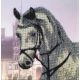 Вышивка бисером на шелке Лошадь, 30x30, FeDi