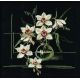 Набор для вышивания Орхидеи, 40x40, Риолис, Сотвори сама