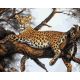 Живопись на холсте Леопард на отдыхе , 40x50, Белоснежка