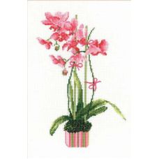 Набор для вышивания Розовая орхидея, 21x30, Риолис, Сотвори сама