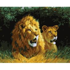 Живопись по номерам Львы на отдыхе, 40x50, Белоснежка