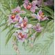 Набор для вышивания Тропические орхидеи, 34x34, Риолис, Сотвори сама