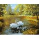 Живопись по номерам Лебеди в пруду, 40x50, Белоснежка
