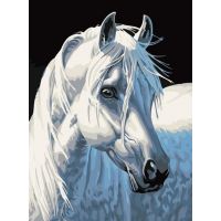 Картина по номерам Белая лошадь, 30x40, Белоснежка