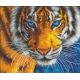 Вышивка бисером Взгляд тигра, 31x26, Русская искусница