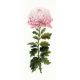 Набор для вышивания Нежный цветок, 20x50, Риолис, Сотвори сама