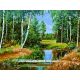 Живопись по номерам Ручей в березовом лесу, 30x40, Белоснежка