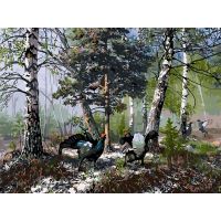 Живопись по номерам Глухари на токовище, 30x40, Белоснежка