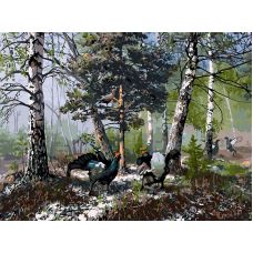 Живопись по номерам Глухари на токовище, 30x40, Белоснежка