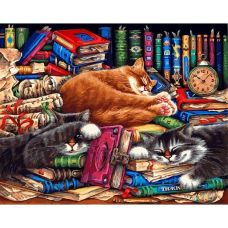 Живопись на холсте Библиотека кошек, 40x50, Белоснежка