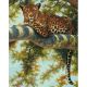 Живопись на холсте Леопард в тени ветвей, 40x50, Белоснежка