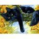Живопись на холсте Осенний кот, 30x40, Белоснежка