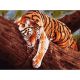 Живопись на холсте Тигр на дереве, 30x40, Белоснежка