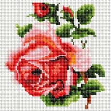 Алмазная мозаика Изящная роза, 20x20, полная выкладка, Белоснежка