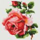 Алмазная мозаика Изящная роза, 20x20, полная выкладка, Белоснежка