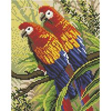 Алмазная мозаика Попугаи, 20x25, полная выкладка, Белоснежка