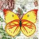 Канва с рисунком Бабочка 7, 25x25, Божья коровка