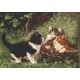 Набор для вышивания Котята в корзине, 39x27, Палитра