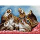 Алмазная мозаика на магнитной основе Игривый котёнок, 20x28,5, полная выкладка, Вышиваем бисером