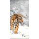 Мозаика стразами Тигр зимой, 30x60, полная выкладка, Алмазная живопись