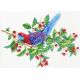 Рисунок на канве Попугай на ветке, 40x50 (30x40), МП-Студия, СК-107