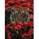 Мозаика стразами Тигр в цветах, 30x40, полная выкладка, Алмазная живопись