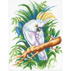 Рисунок на канве Белый попугай, 50x40 (40x30), МП-Студия, СК-116
