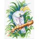 Рисунок на канве Белый попугай, 50x40 (40x30), МП-Студия, СК-116