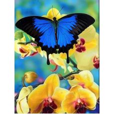 Мозаика стразами Бабочка и орхидеи, 30x40, полная выкладка, Алмазная живопись