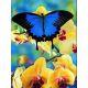 Мозаика стразами Бабочка и орхидеи, 30x40, полная выкладка, Алмазная живопись