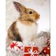 Мозаика стразами Кролик и подарки, 20x25, полная выкладка, Алмазная живопись