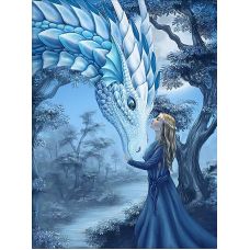 Мозаика стразами Девушка и дракон, 30x40, полная выкладка, Алмазная живопись