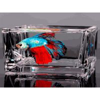 Живопись по номерам За стеклом, 30x40, Белоснежка