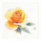 Набор для вышивания крестом Акварельные розы. Желтая элегантная, 26x24, Алиса