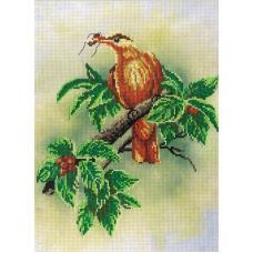 Набор для вышивания крестом Птичка с ягодами, 20x30, МП-Студия, дизайнерская канва