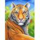 Рисунок на канве Царственный тигр, 40x30 (27x20), МП-Студия, СК-067