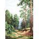 Набор для вышивания Сосновый лес, 26x36, Палитра
