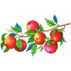 Рисунок на канве Урожай яблок, 30x40 (20x30), МП-Студия, СК-106