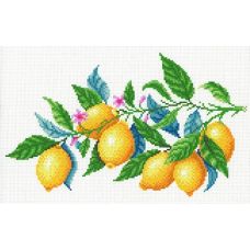 Рисунок на канве Лимонная гармония, 30x40 (20x30), МП-Студия, СК-098