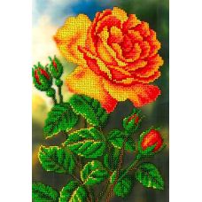 Набор для вышивания Цветущая роза, 19x27, Вышиваем бисером