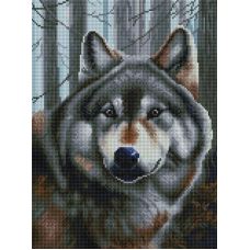 Алмазная мозаика Волк, 30x40, полная выкладка, Белоснежка