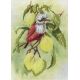 Набор для вышивания крестом Птичка на ветке лимона, 30x22, МП-Студия, дизайнерская канва