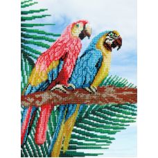 Набор для вышивания бисером Попугаи, 28x22, МП-Студия