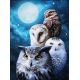 Мозаика стразами Ночные совы, 30x40, полная выкладка, Алмазная живопись