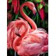 Мозаика стразами Пара фламинго, 30x40, полная выкладка, Алмазная живопись