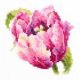 Набор для вышивания крестом Розовый тюльпан, 11x11, Чудесная игла