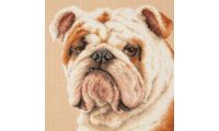 Набор для вышивания крестом Английский бульдог, 25x25, Чудесная игла