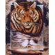 Набор для вышивания бисером Тигр, 34x45, Магия канвы