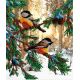 Набор для вышивания бисером Птички в лесу, 28x35, МП-Студия