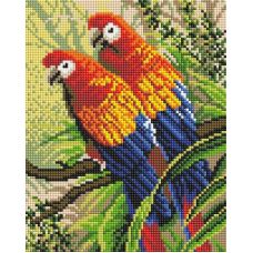 Алмазная мозаика Попугаи, 20x25, полная выкладка, Белоснежка